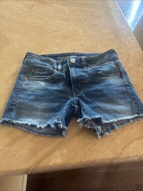 American Eagle Outfitters Distressed Blue Denim Cutoff Shorts